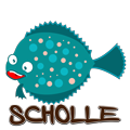 scholle